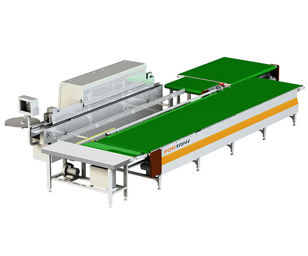 Quomodo Cingulum nectunt Conveyor Series Revolutionize Your Material Tracting Efficiency?